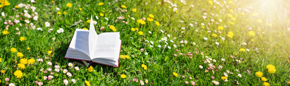 פרק 11: חוקרים וחושבים חינוך בלתי פורמלי